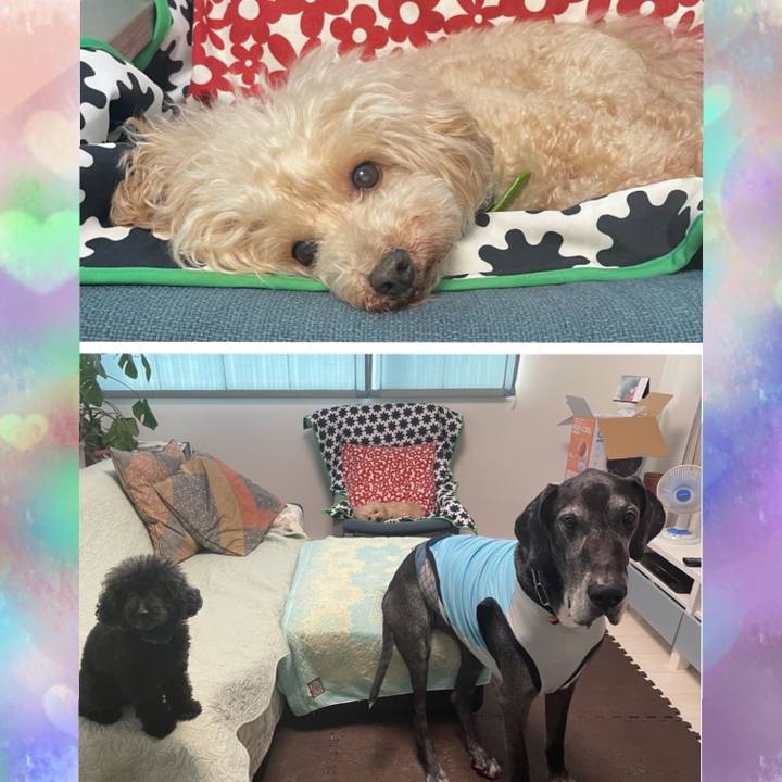 D59d107c 6598 4355 9ab3 f3bc246a9b63 1632955895571