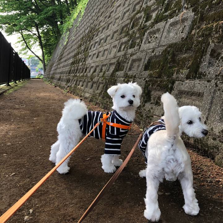 D59d39e0 3863 4752 b0fe 5c755313c72f 1524808937902