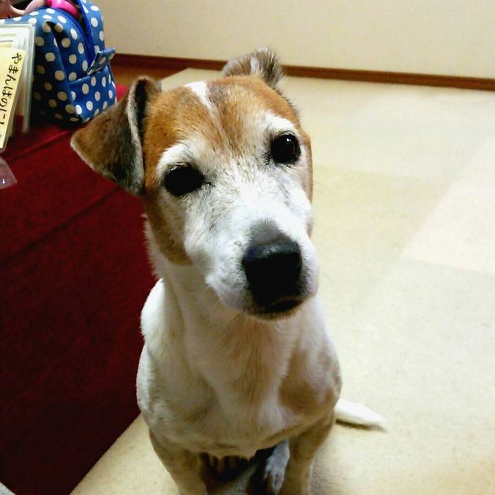 D59d3bec d185 4bf0 aefb 06c4bb6ac5ac 1513169334850