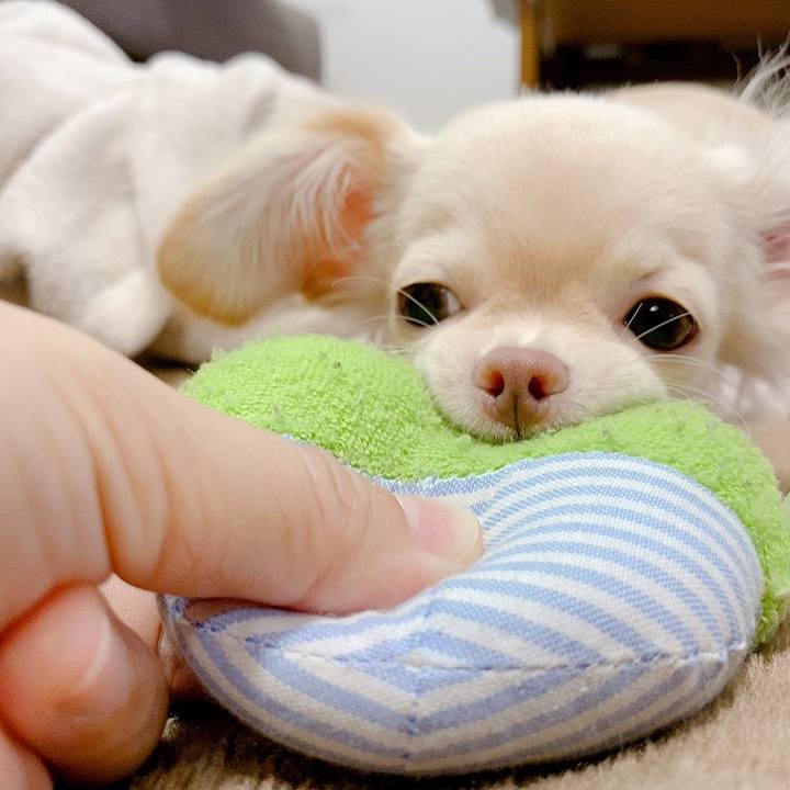 D59d48c4 5ebc 4809 b09d db483a156cc0 1593856275165