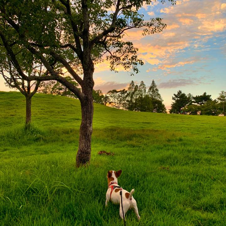 D59d819a 4286 4a22 85ff 4da091db2a79 1566731863868