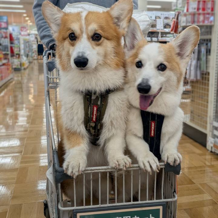 D59d97a4 1da5 4f75 b40e 161d11ce3104 1766059752825