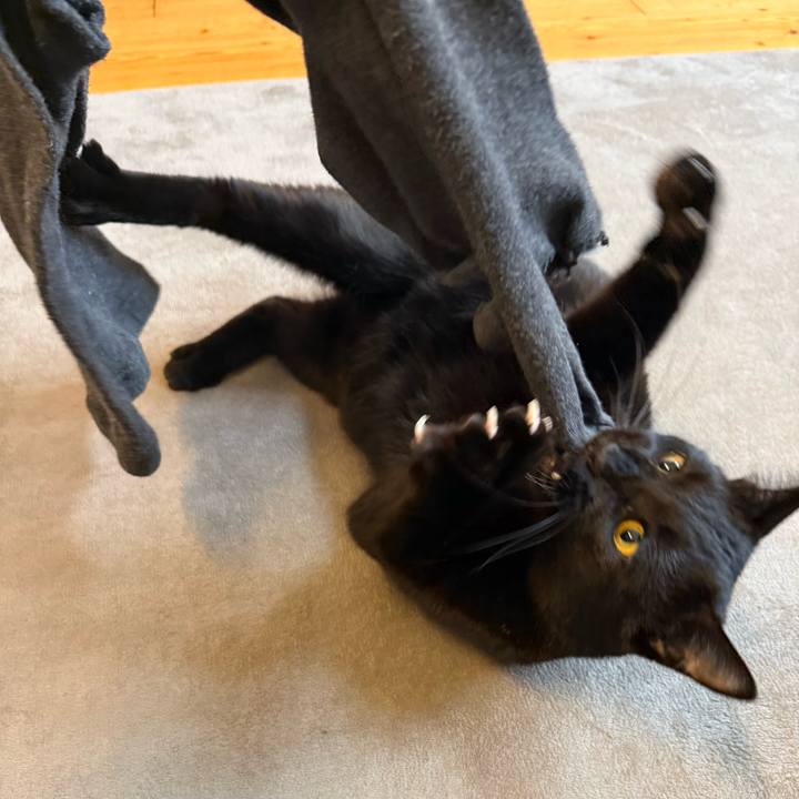 D59da6c6 05c4 4c5c a08a 11ae2be98d13 1772579128378