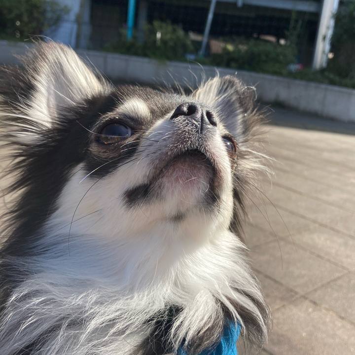 D59db51f 6c87 427c be1b 6dcfdf9c3076 1614050586114