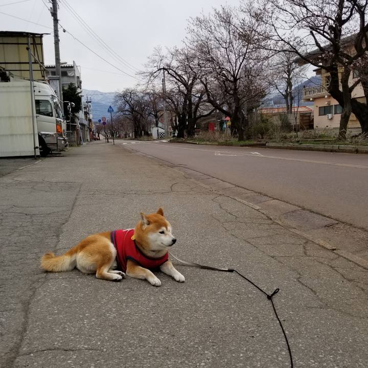 D59dc7ef 64e9 40a8 9d57 7a48d500b09a 1555219758231