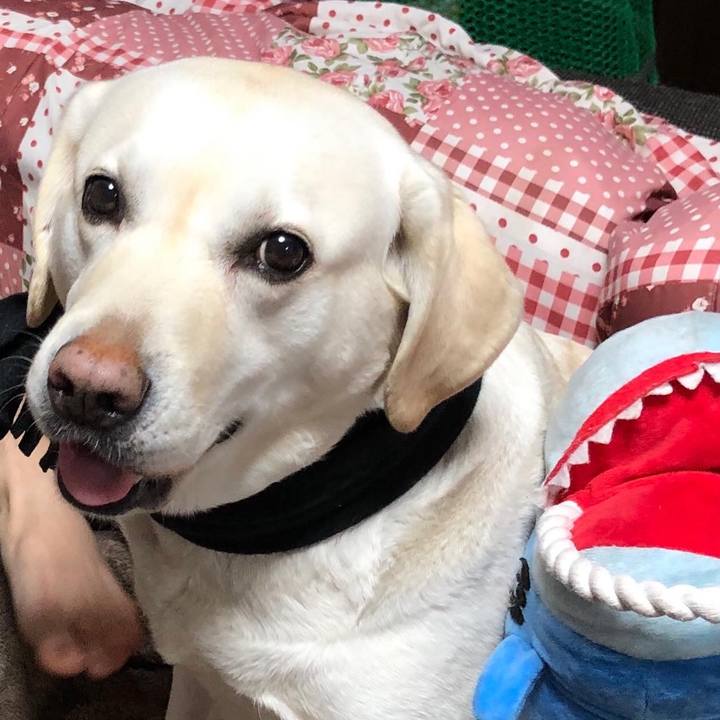 D59de2be 91b0 44e5 82fa 46225429ae70 1612785830271