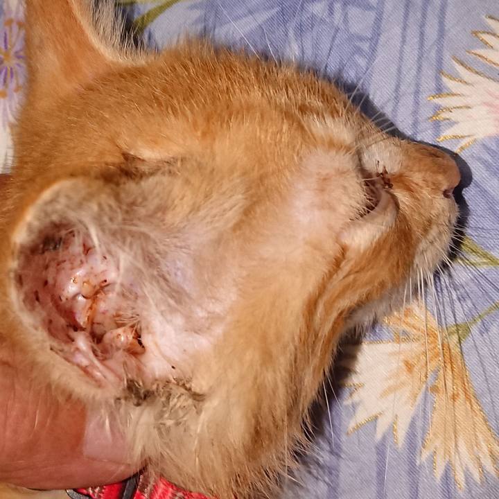 D59df3f7 54e3 42de 91ee 00b3cf02f9aa 1627991963345