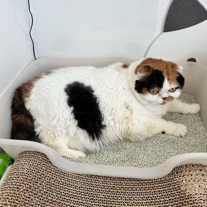 D59e0616 b99d 4841 8e4c e7df7d74199b 1727407195947