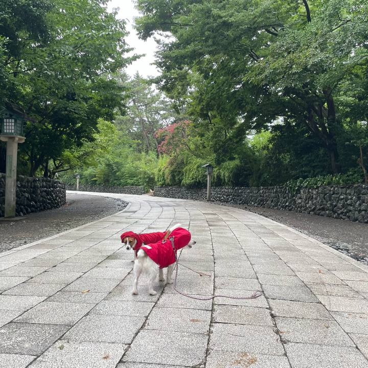 D59e0bc8 29fa 4f3e a375 c15a926d67fb 1661383457621