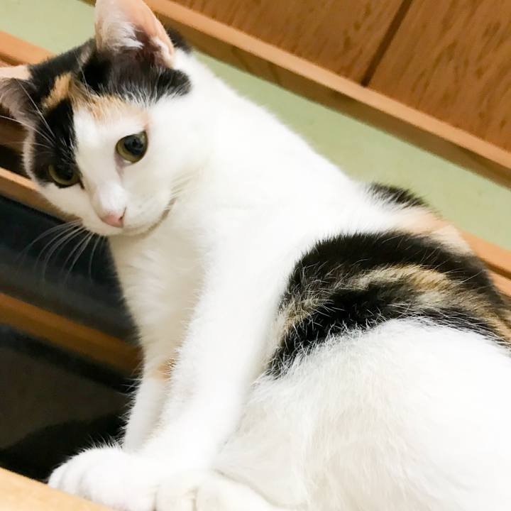 D59e154e 17ea 403e 989a 1bb5674f58a7 1516454289369