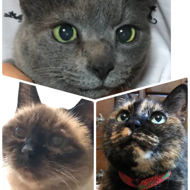 D59e2e35 dd8e 4789 9c94 4a3ee2adebfd 1556929026940