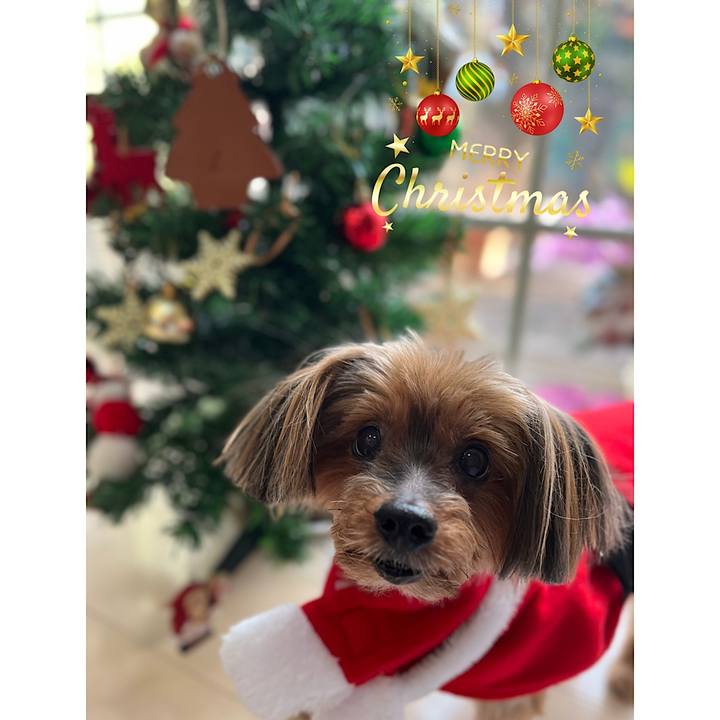 D59e3d4d 9fc2 4163 a4d7 8ca6e3cc2bfd 1671886526399