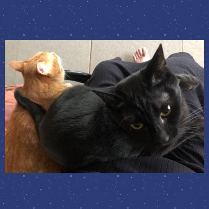 D59e64ce 9719 4aae a634 80a934216bc9 1680814568687