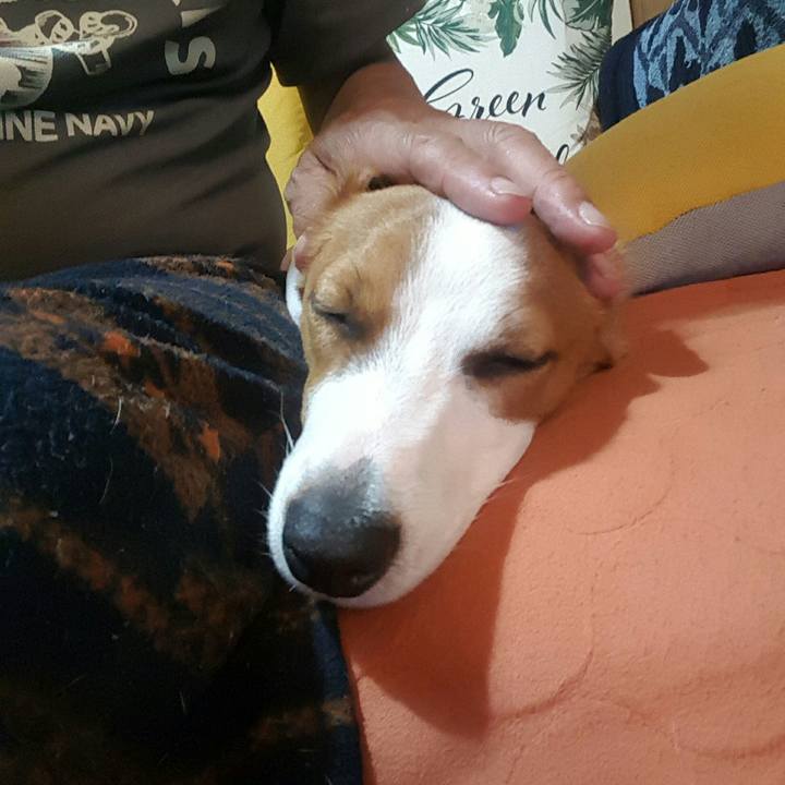 D59e77ef 2b5c 4c63 a7de 2eda9ffb4dc7 1559483847198