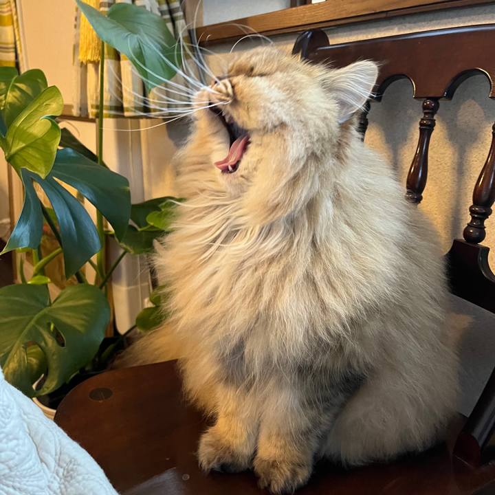 D59e8c34 3da0 499a acc0 9d7da887fb17 1642984735296