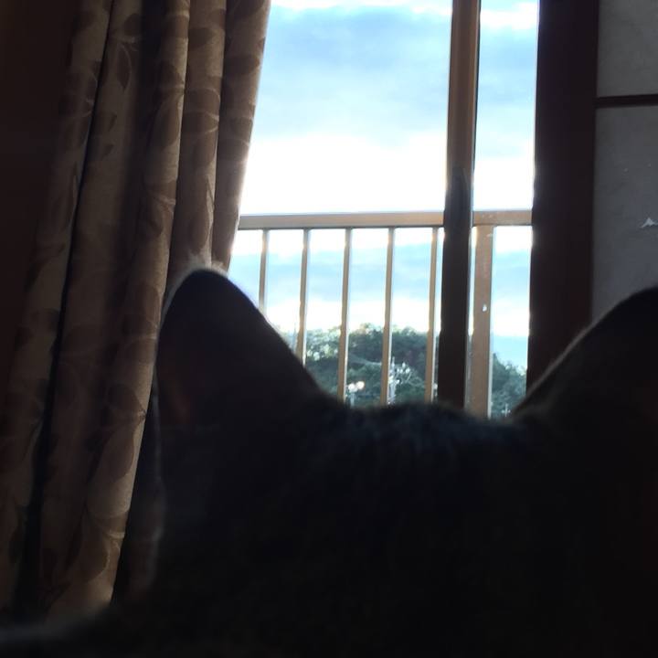 D59e8f79 96da 4bd5 8470 6dba8fd1927b 1570916940229