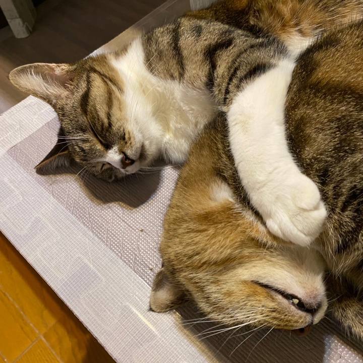 D59e9264 f319 4cb6 84da 703fb2f452a0 1623552133683