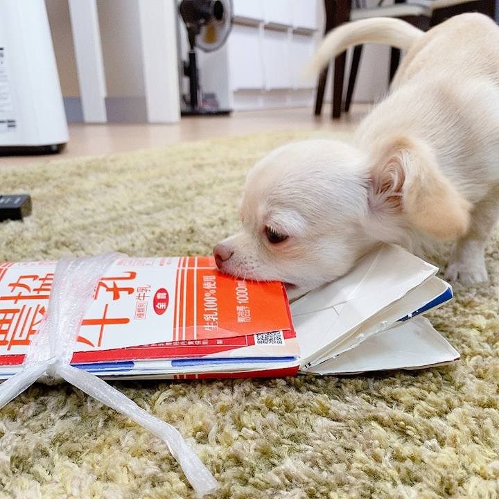 D59e9b0c 1065 4119 8709 63f30e53d121 1593496296503