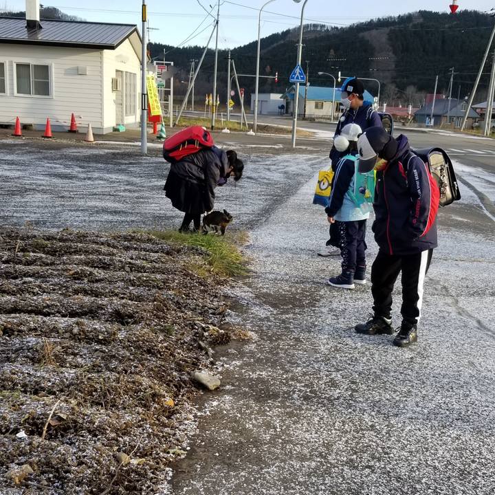 D59ea350 bd49 4d35 b728 48ce9fd8ad7f 1605614537843