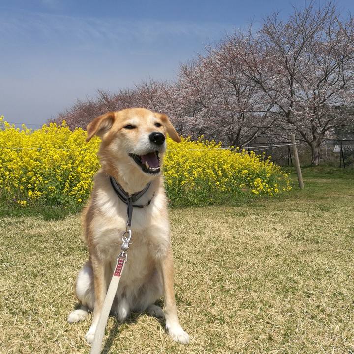 D59ea68b 2c47 46d9 abde 2f16e8c0cdcc 1522118763144