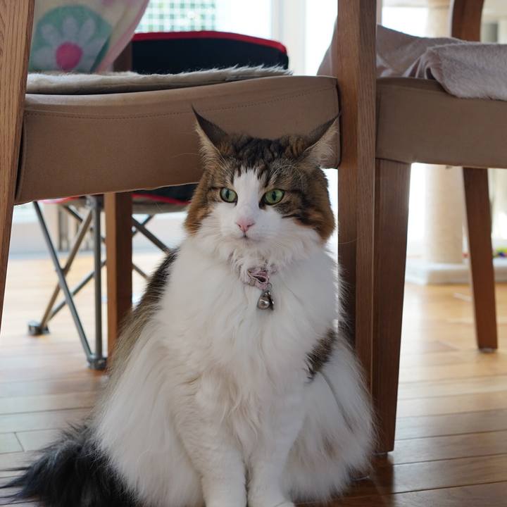 D59f71ce 4166 4d5a 9dbb d5b7e42db670 1670586363065