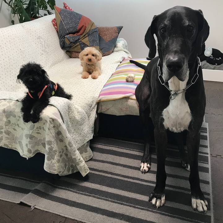 D59f83f9 8888 4b0a 8a03 c0a866a18cc7 1529966845919