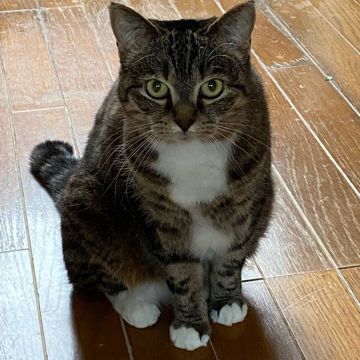 D59f8c95 2348 4f33 a87d 7f9845f3bd1e 1621317384068