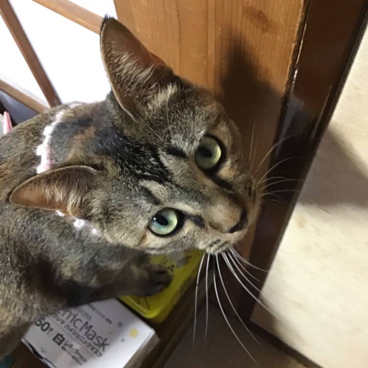 D59f9c46 7dbe 4799 919a becd8fbd7024 1597907013476