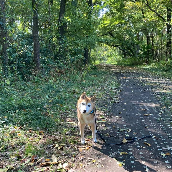 D59fbc45 a398 427d 966c 4b13b096ab96 1762491119067