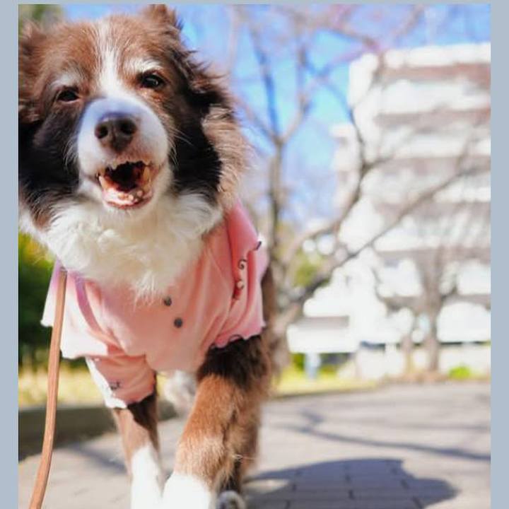 D59fc898 d59b 460f ac90 14b3f178e730 1769990594675