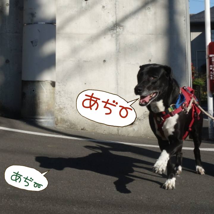 D59fde3e 03c3 4a54 be4d f4aa5dc7c5c8 1679274790289