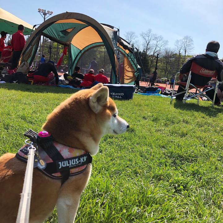 D5a00612 cbed 4edb 8044 7bd36fb14d06 1557801619189