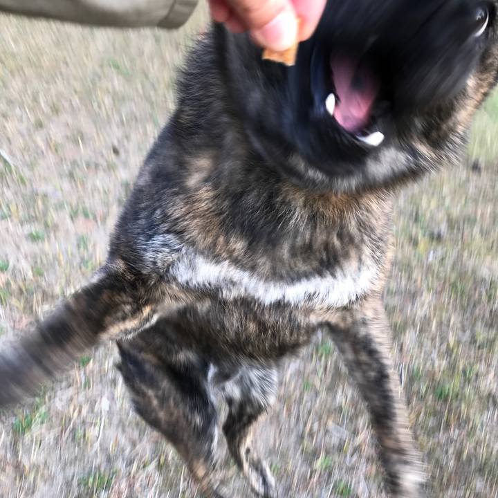 D5a008c2 0add 4e73 a082 ca030385b912 1523525584117