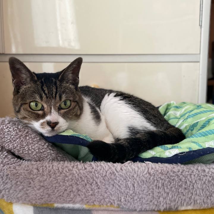 D5a03ea2 0308 4d28 ba09 244b869648ce 1656551075926