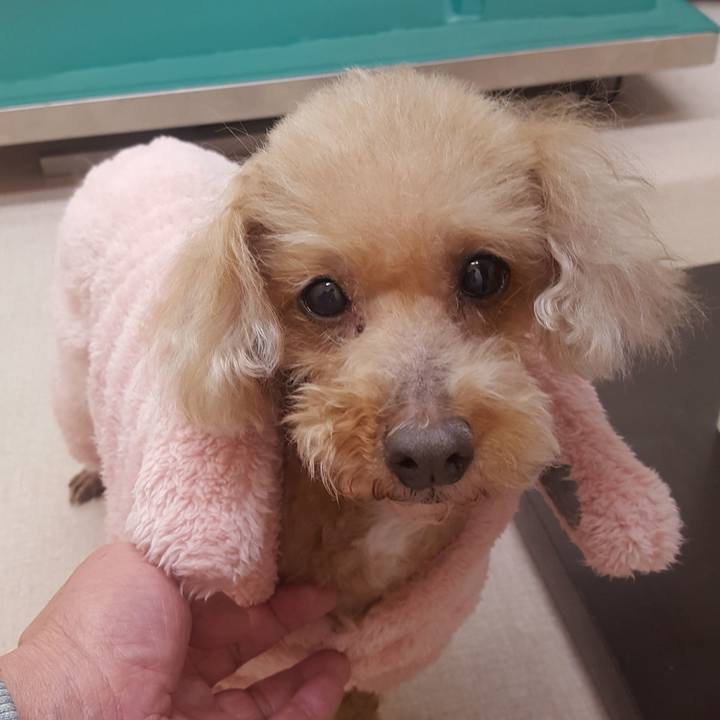 D5a0b86f b814 4e7a 9303 c25d8c1faa87 1551239500109