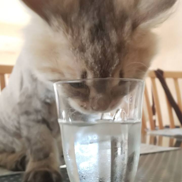 D5a0dce4 bb2f 404b be40 35cc90b7d465 1565047469842