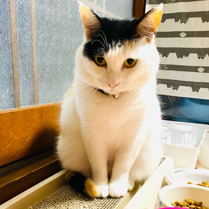 D5a0f280 fef5 4881 bf57 32bb58d2de1d 1686090317880