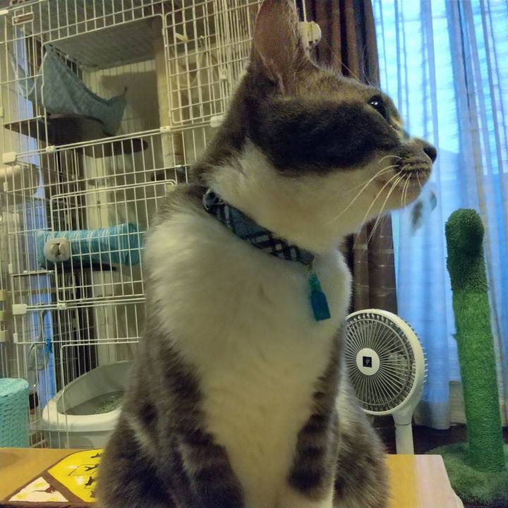 D5a0fed0 410a 4406 b691 3f7168ed83ef 1615154438308