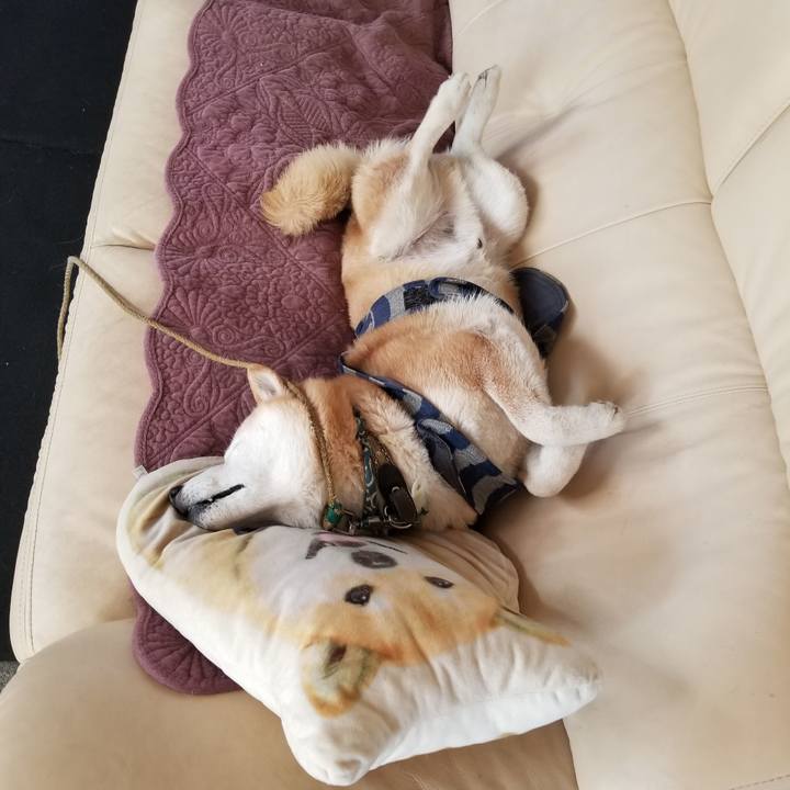 D5a0ffd5 79ff 4df8 a9ec d1f425291f97 1708748349141