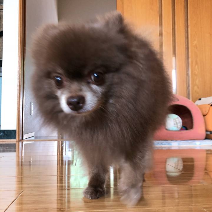 D5a10572 96ef 4a2e 9de7 6cb30b773a57 1567055303805