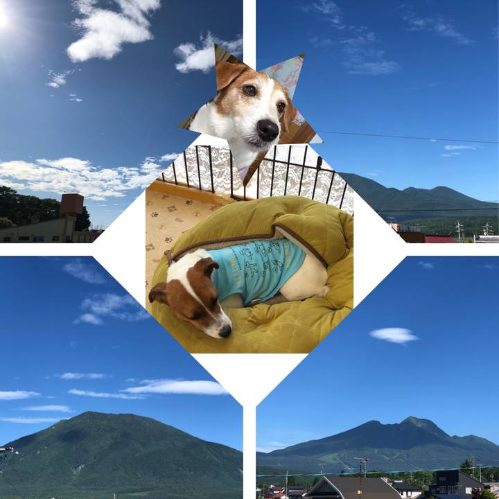 D5a1169d 041c 49e1 9fe6 0d5ebe283473 1530486830178