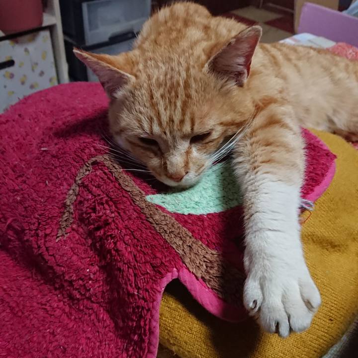 D5a156ec 719f 4040 9763 fedc68f7be7c 1556339375993