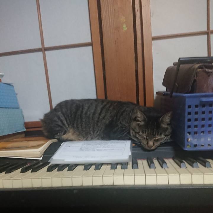 D5a1b842 1191 47c3 895d 09703ec43d40 1660949541384