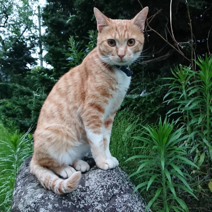 D5a208a1 df91 44b8 9055 6d0e4bad6775 1563708409300