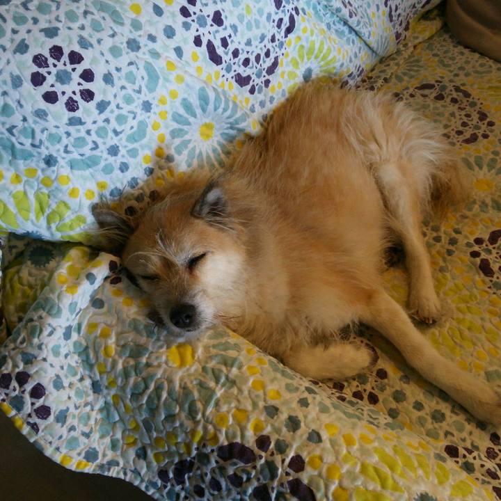 D5a21dc5 8744 4220 b349 026403b35766 1516933100462