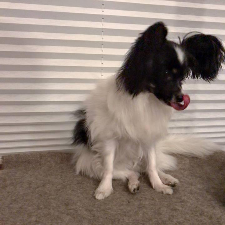 D5a22685 c2ea 4875 9caa e11fde49059e 1512905076999