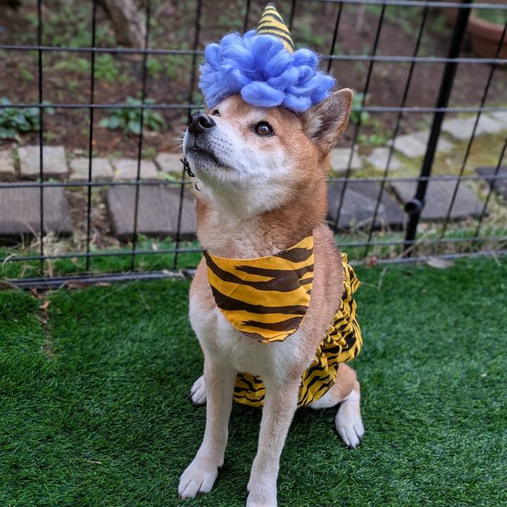 D5a23af5 97e2 4ffe ac53 f2cf596c9670 1737672003439