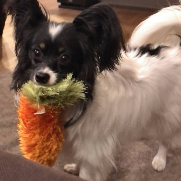 D5a2428d d826 4d3c 8a9b 9fd1b9503a29 1517397879859