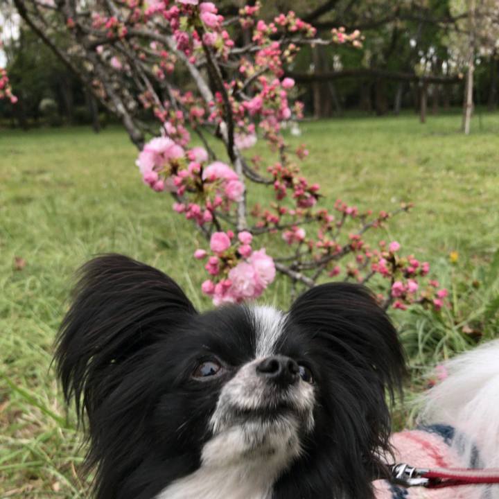 D5a2564d c6d9 46cd bd62 90dcfaae98f8 1523024772818