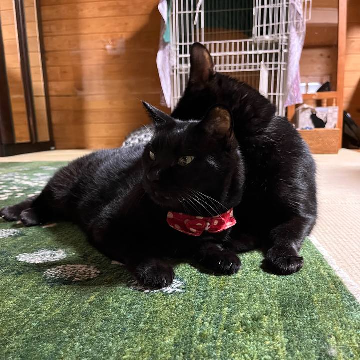 D5a26206 bf34 412d b13e 7ccdda508f32 1695634122654